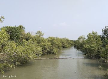 bangladesh/sundarbans/attraction/netidhopani-watch-tower