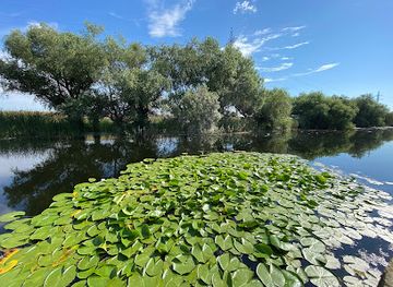 romania/crisana/attraction/complex-lotus-crisan