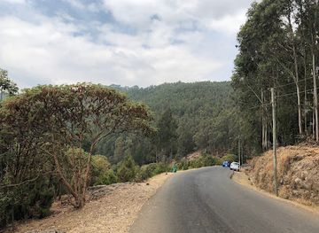 ethiopia/turmi/attraction/entoto-view-addis-ababa