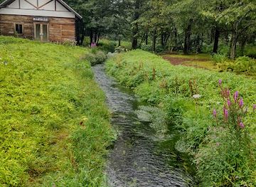 japan/hokkaido/attraction/rokka-forest
