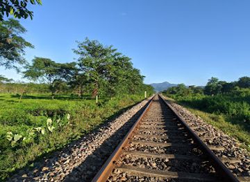 india/siliguri/attraction/sepoy-dhura-tea-garden