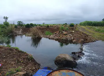 Bassin bii