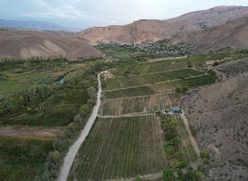 armenia/vayots-dzor/attraction/momik-winecube