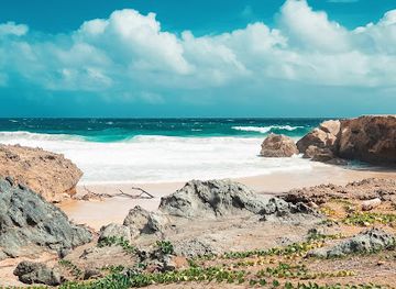 aruba/arikok-national-park/attraction/shark-bay