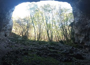 slovenia/sezana/attraction/perkova-pecina