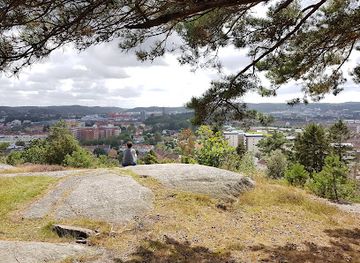 sweden/vastergotland/attraction/safjallets-naturreservat