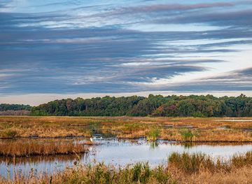 delaware/cape-henlopen-state-park/attraction/bombay-hook-national-wildlife-refuge