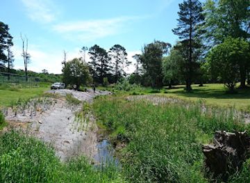 australia/new-england/attraction/new-england-regional-art-museum
