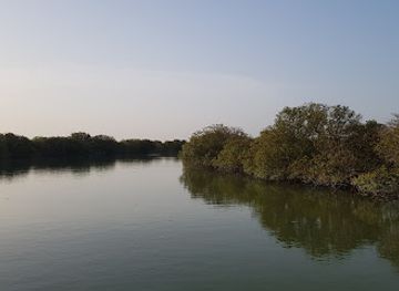 qatar/al-thakira-mangroves/attraction/mangrove-channel-aquasports