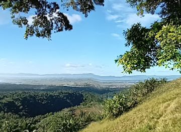 philippines/bicol-region/attraction/antipolo-century-tree