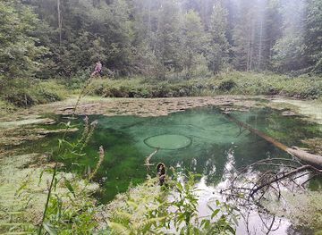 estonia/harju-county/attraction/saula-siniallikad