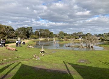 australia/northern-victoria/attraction/moonlit-sanctuary-wildlife-conservation-park