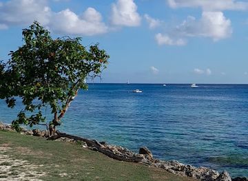 barbados/holetown/attraction/paynes-bay