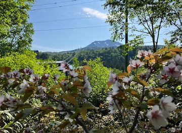 japan/hokkaido/attraction/chishima-sakura