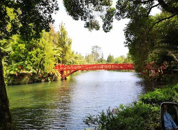 new-zealand/new-plymouth/attraction/pukekura-park-fernery-and-display-houses