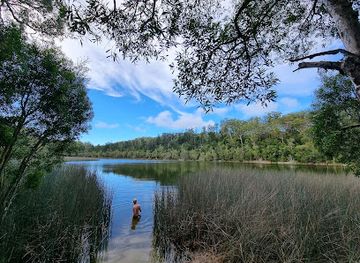 australia/fraser-island/attraction/lake-allom