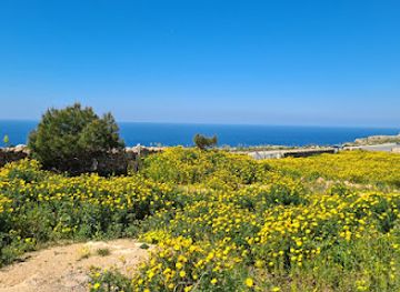 malta/buskett-gardens/attraction/ta-guzu