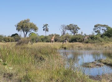 botswana/maun/attraction/afro-trek