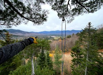 new-hampshire/great-north-woods/attraction/bretton-woods-canopy-tour