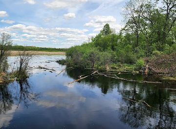 illinois/chain-o-lakes-state-park/attraction/volo-bog-state-natural-area