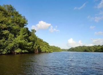 trinidad-and-tobago/couva/attraction/caroni-swamp