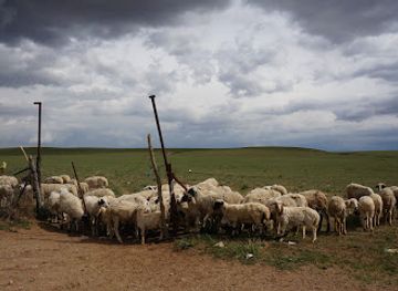 mongolia/mongolian-manchurian-grassland/attraction/xilamuren-grassland-tourism-center