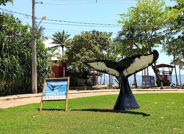 brazil/itacare/attraction/nova-rotatoria-da-concha