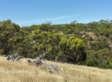 australia/north-east-south-australia/attraction/cobbler-creek-recreation-park