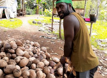 vanuatu/shefa/attraction/tongariki