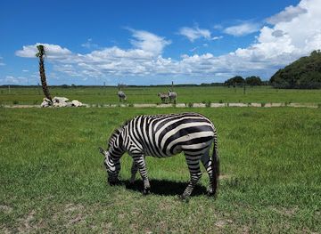 florida/tampa-bay-area/attraction/serengeti-safari