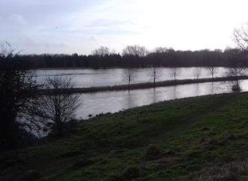 united-kingdom/bedfordshire/attraction/pavenham-osier-beds