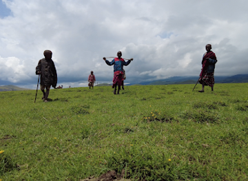 south-africa/gauteng/attraction/perfect-afrika