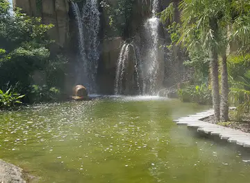 Aquarium d'Amnéville