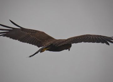 denmark/langeland/landmark/langdysse-i-ormstrup