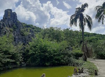 vietnam/central-highlands/attraction/monkey-island-tourist-resort