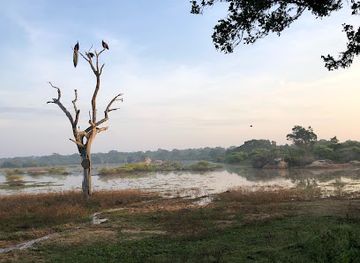 sri-lanka/bundala-national-park/attraction/roshan-safari