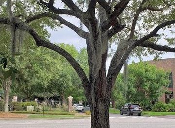 south-carolina/charleston-area-beaches/attraction/daniel-island