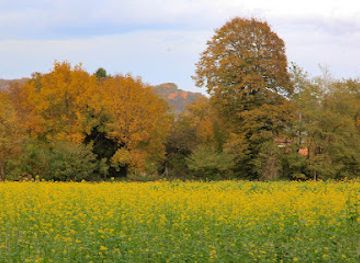 slovenia/maribor/attraction/pot-ob-pekrski-gorci-path-along-pekrska-gorca