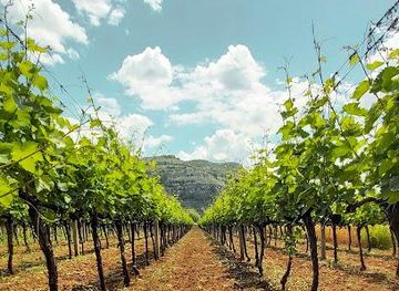 bosnia-and-herzegovina/trebinje/attraction/vinarija-bojanic