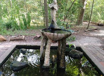 texas/red-river-valley/attraction/nature-discovery-center