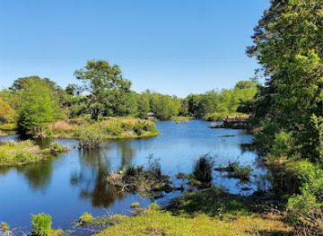 south-carolina/sea-islands/attraction/cypress-wetlands