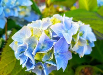 chile/aysen-region/attraction/oficina-de-informacion-turistica