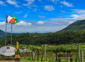 brazil/serra-gaucha/attraction/vitivinicola-jolimont