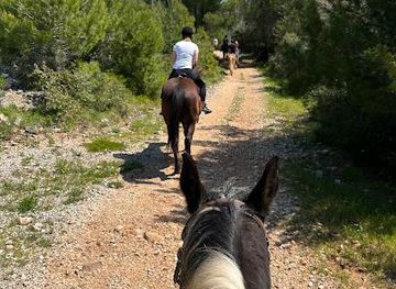 montenegro/budva-riviera/attraction/kojan-koral