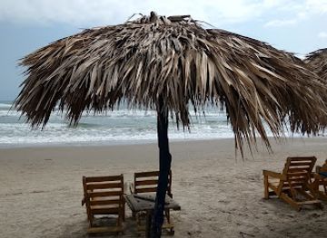 mexico/tamaulipas-coast/attraction/delfines-playa-miramar