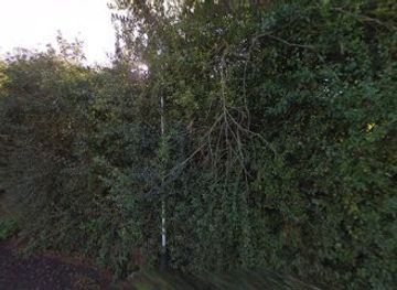 isle-of-man/onchan/attraction/mwt-curragh-kiondroghad-nature-reserve