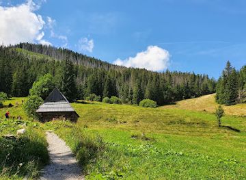 poland/zakopane/attraction/wywierzysko-olczyskie