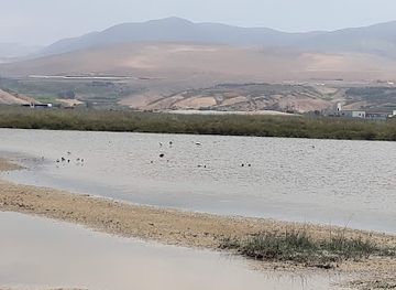 peru/south-coast/attraction/santuario-nacional-lagunas-de-mejia