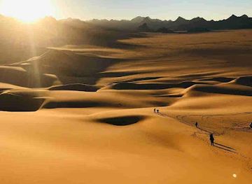 niger/tenere-desert/attraction/desert-du-tenere