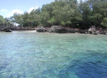 palau/jellyfish-lake/attraction/turtle-cove